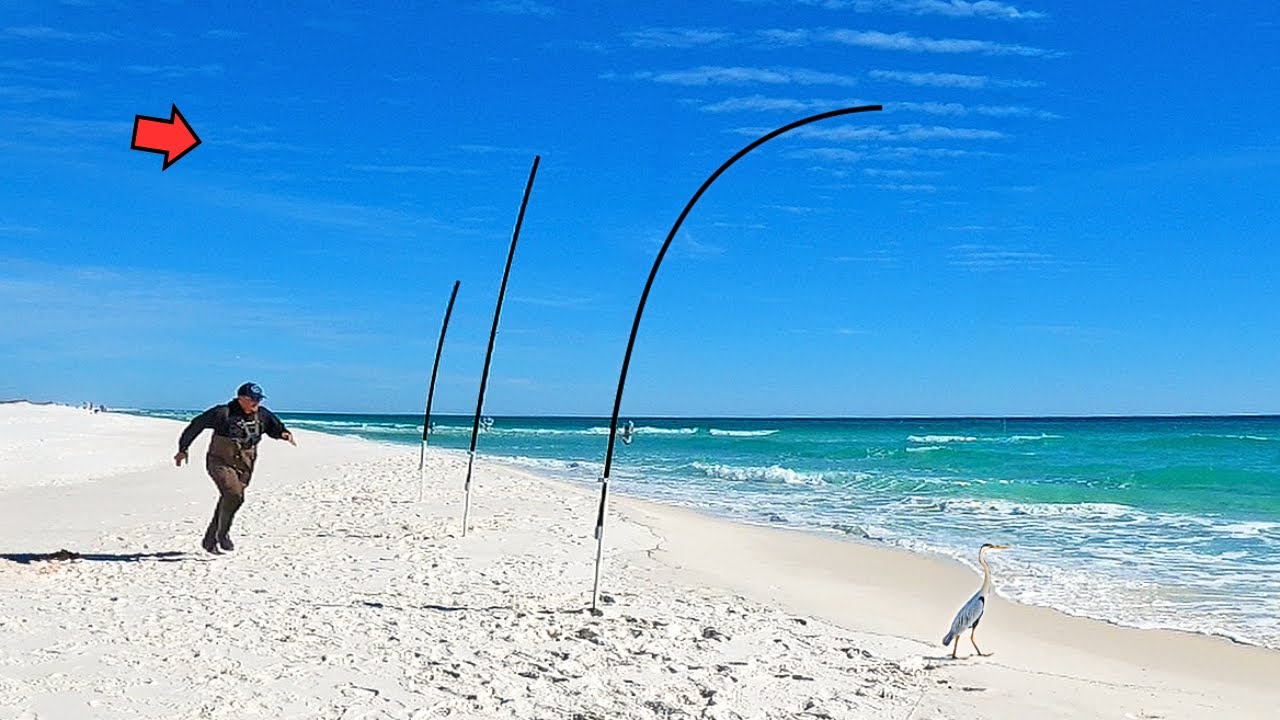 The Winter Surf Fishing is on FIRE! (Multiple Species)