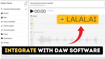 How to Integrate Lalal ai with DAW Software 2025?