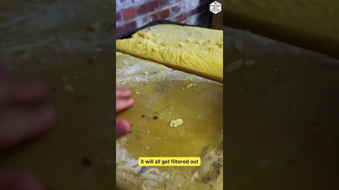 Buying Over 2,000 Pounds of Pure Beeswax in Giant Blocks