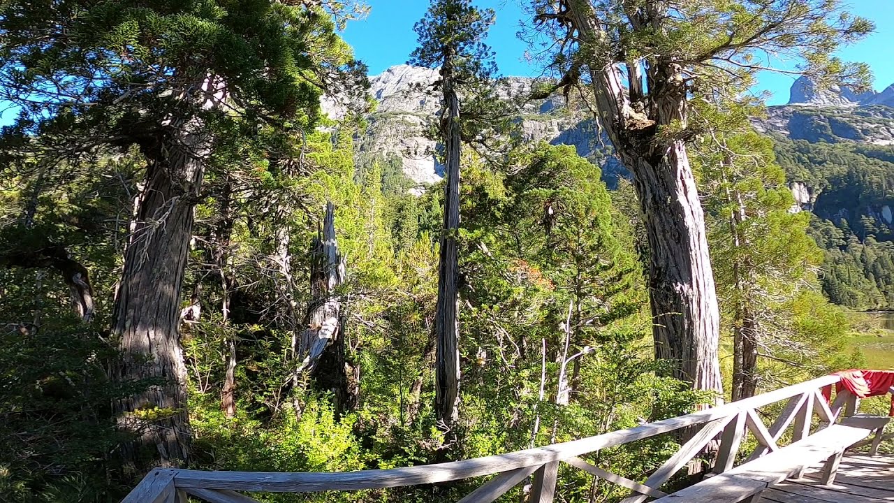 Refugio Quetrus - Parque Tagua Tagua - Cochamó - Chile