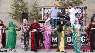 Koma Deng - Festival Gibi Düğün - Hakkari Düğünleri - Segawi 2022