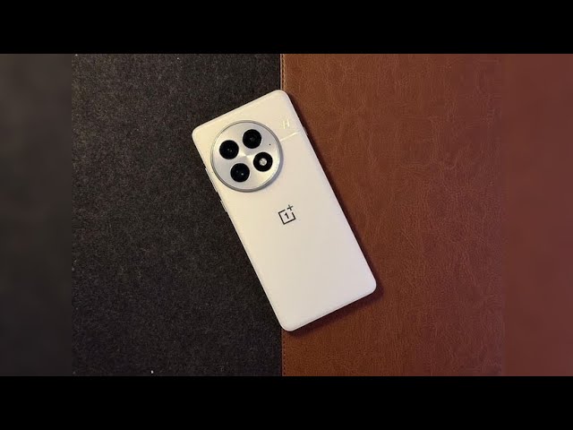 OnePlus 13 Global vs. Chinese Version! Is It Worth the Extra Pay