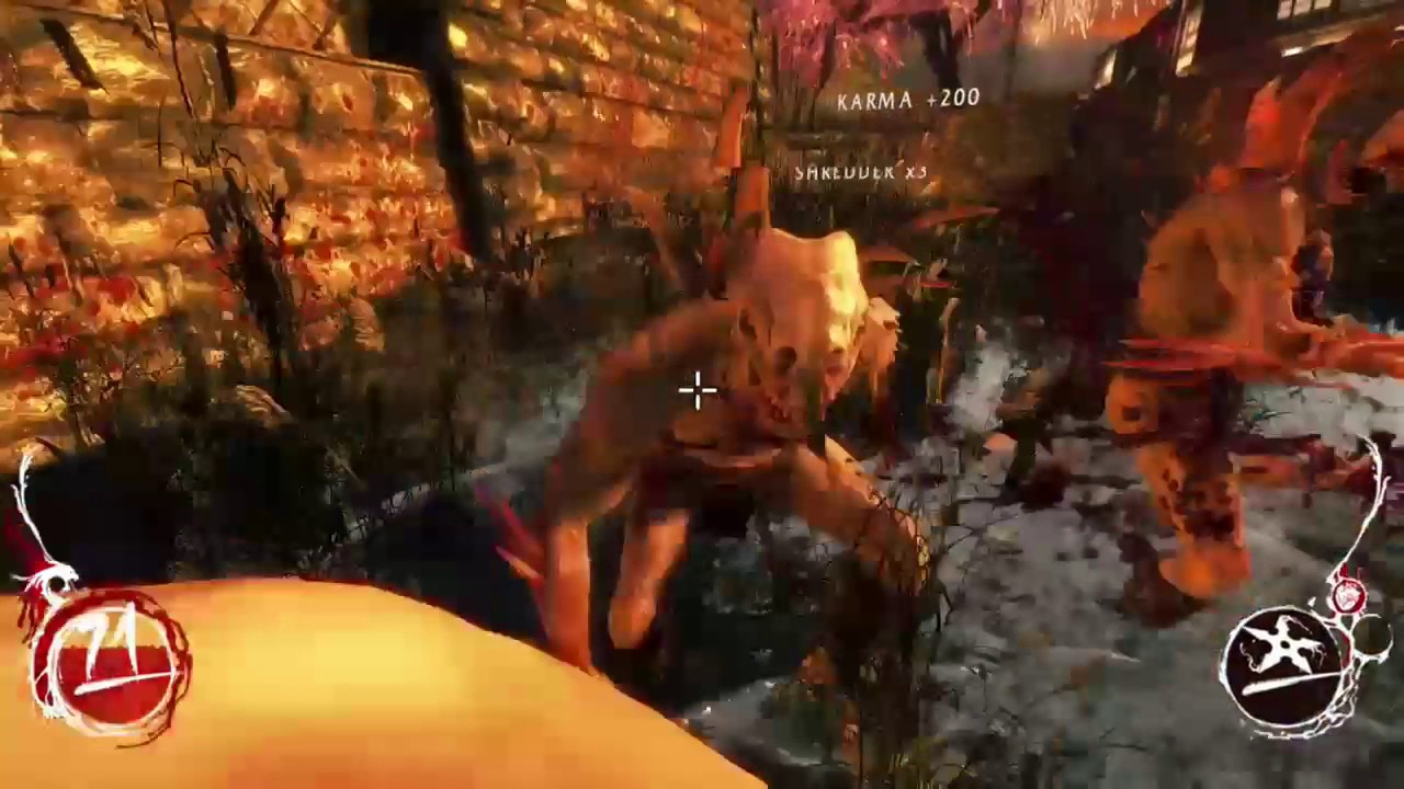 Shadow Warrior   Sword and Guns