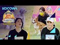 Which pup wins the final race? [2020 Idol Star Dog Agility Championships]