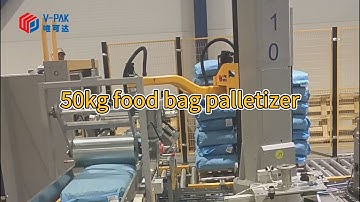 Column palletizer for 50kg food bags
