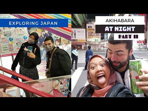 Akihabara at Night Part II: VR Adventures + More Claw Machines !!!