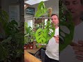 plantandstories.com 🔥