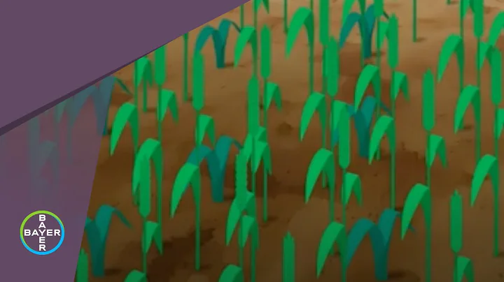 Knowledge Centre: The Different Types of Herbicide Resistance