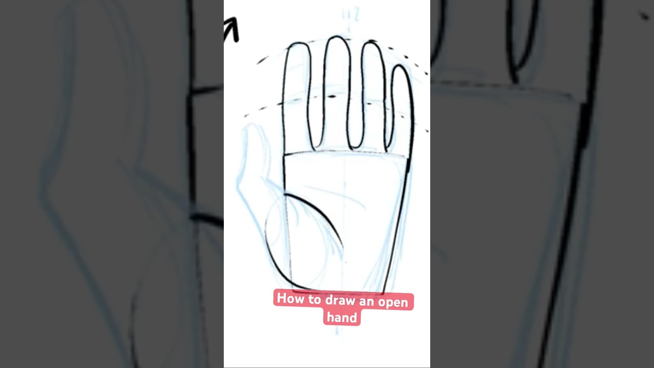 Open Hand Drawing Step By Step