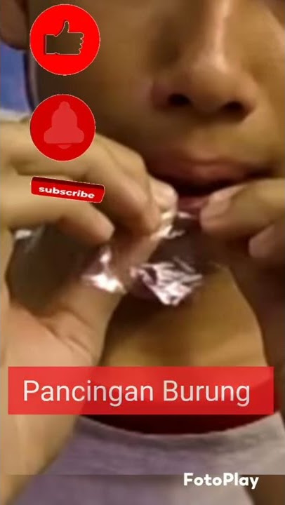 Suara plastik kresek pancingan burung Kacer murai