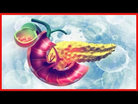 どのような食べ物を食べればよいのでしょうか?