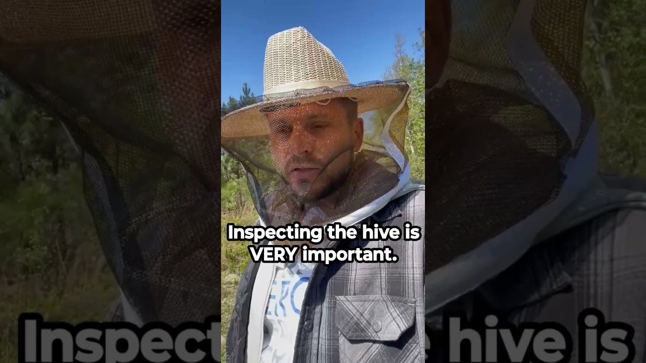 It's cool but I'm still here 