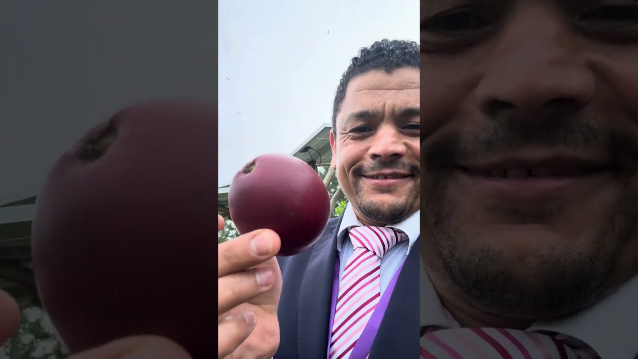 ⁣مكان الVIP علي الجزيرة في بالي بإندونيسيا 😳