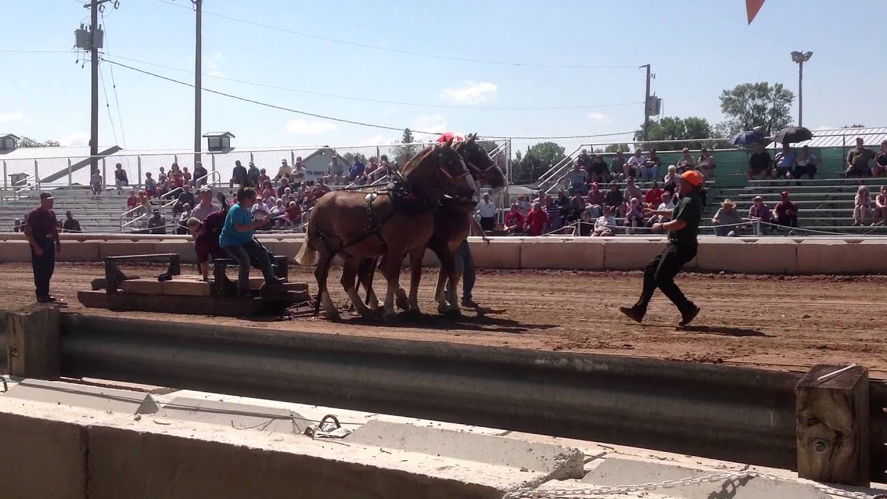 Horse Pull Gillett, WI July 4th 2013 YouTube