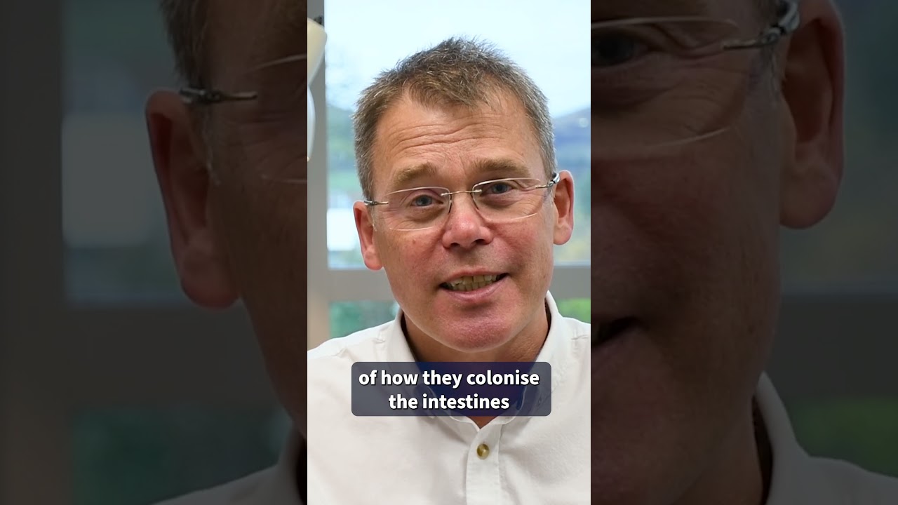 Livestock Aspects of Food Poisoning