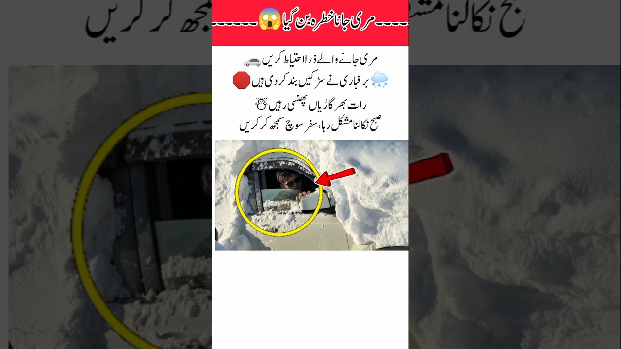 Stranded in Snow Watch How Cars Struggle