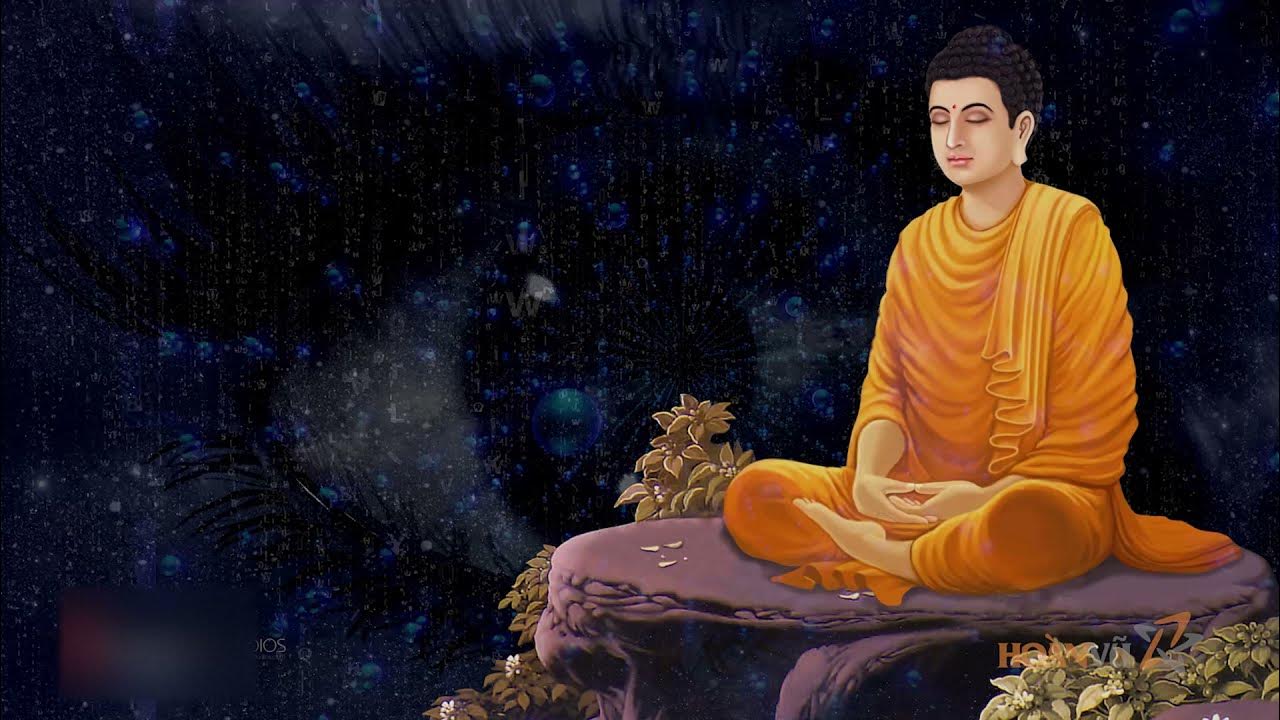 Буда видео. Будда матрица. Матрица буддизм. Матрица медитация. Будда футаж.
