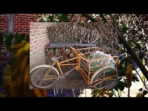 Related Embedded Video Item Thumbnail