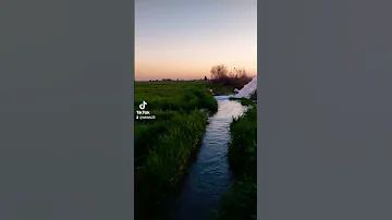 الملح مو خربان والدنيا زينه 