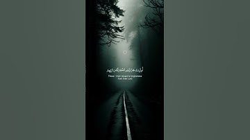تلاوة هادئة تريح القلب بصوت اسلام صبحي 😍❤️ #تلاوة_خاشعة #short
