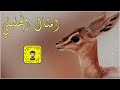 شيلة : امثال الهليلي - سعد محسن ( حصرياً ) 2026