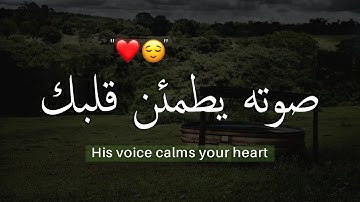 فنادى فى الظلمات ان لا إله إلا أنت | القارئ طارق محمد |حالات واتس #قران كريم Quran Status.#quran