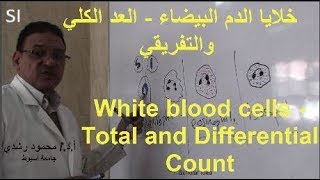 خلايا الدم البيضاء｜العد الكلي والتفريقي ...White blood cells-DLC