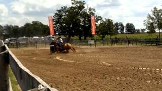 Chewy Sunday Trishs Show 2013