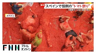 街中が“赤一色”に…毎年恒例！スペインの“トマト祭り”　大量のトマトを投げ合い参加者たちは大興奮　1時間で120トンも使用