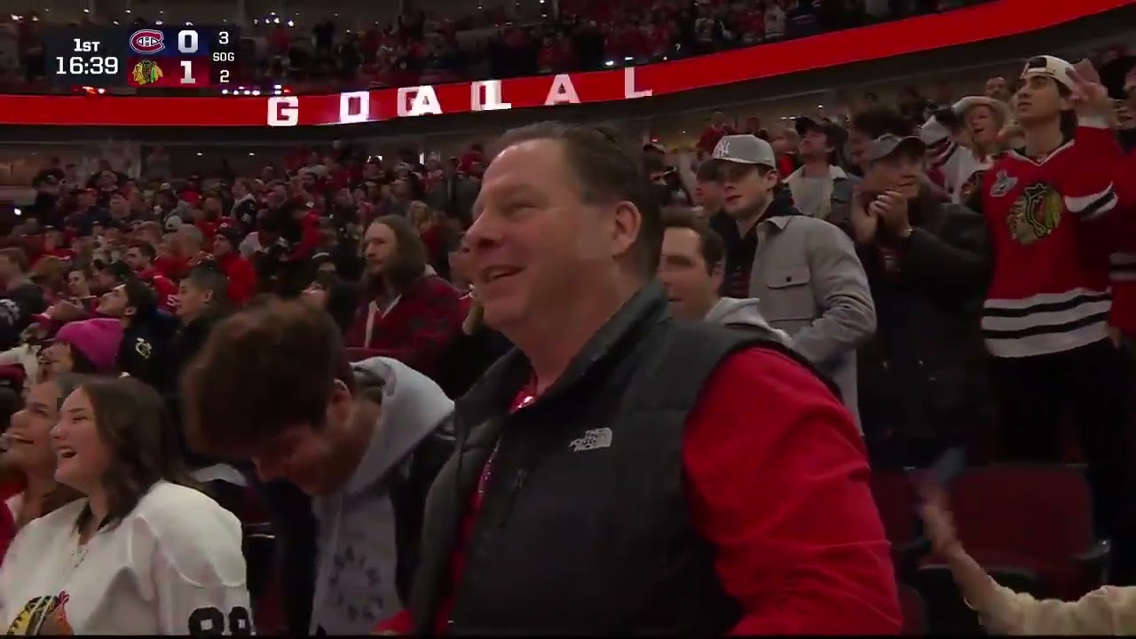 Tyler Bertuzzi - All Goals 2024-25