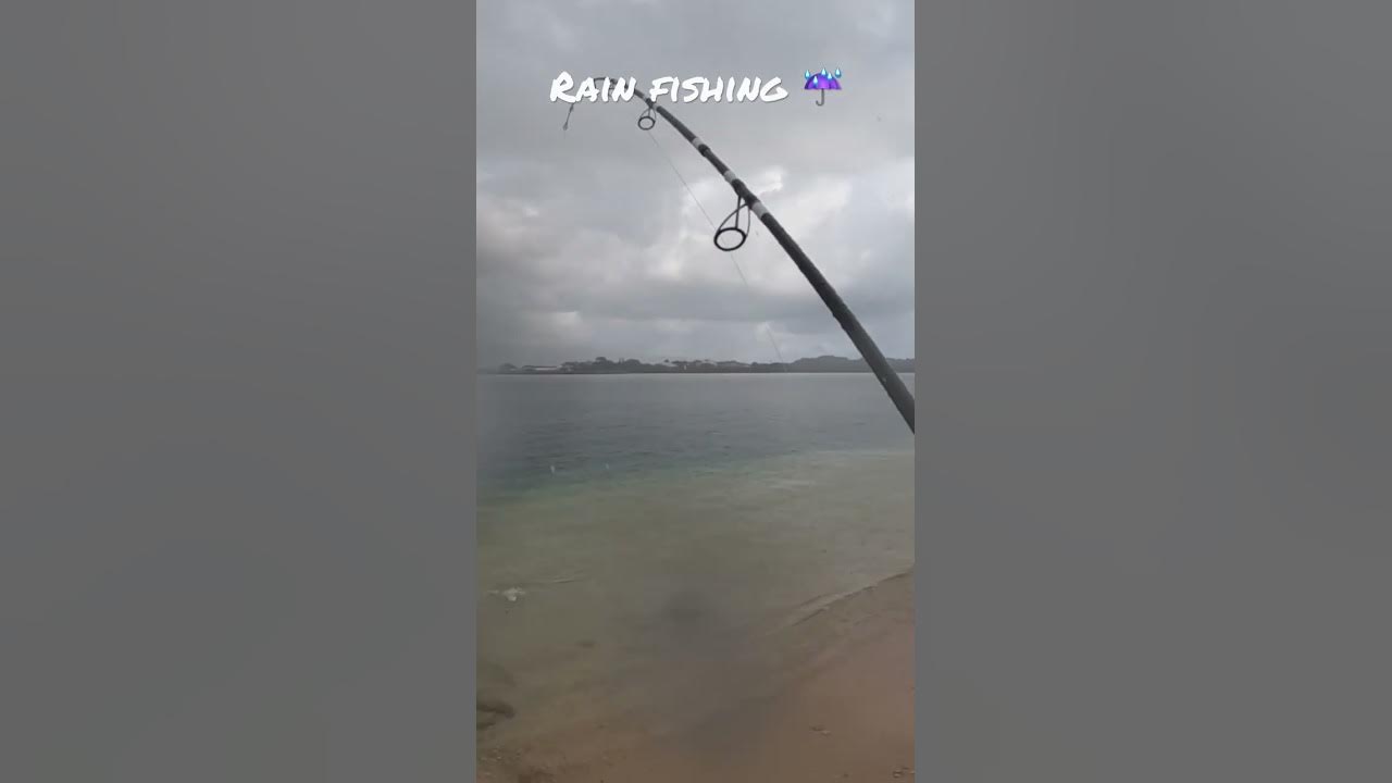 Fish Bite Better in The Rain! 🎣 Hawaii Fishing Adventures YouTube