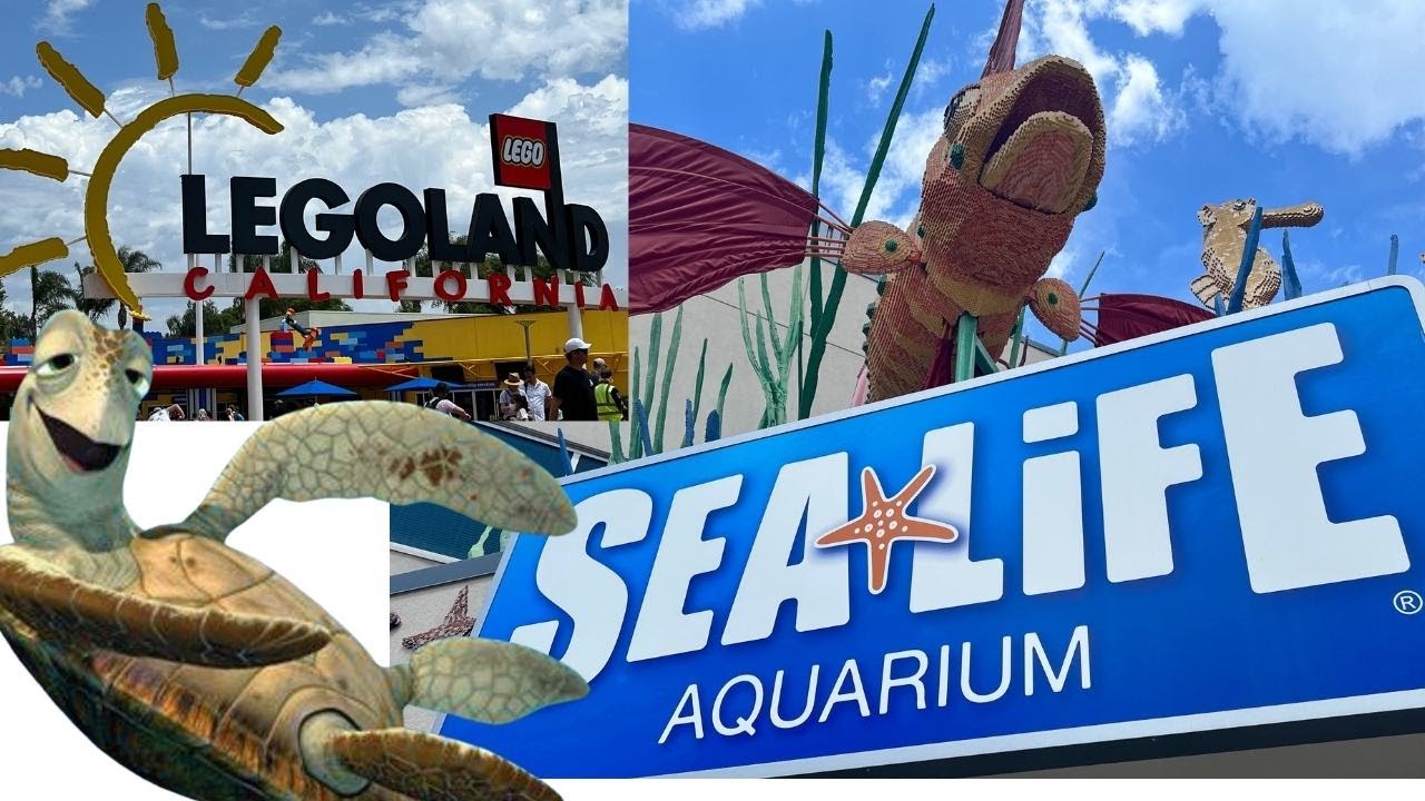 SEALIFE at LEGOLAND CALIFORNIA SUMMER 2022.  🐟🇺🇸 