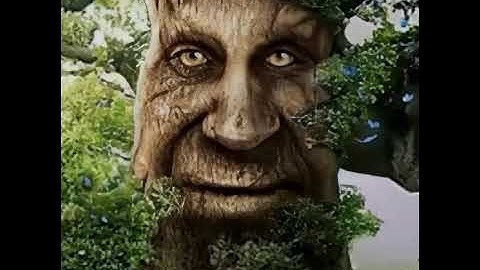 10 Hours of Wise Mystical Tree