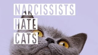 Narcissists Hate Cats