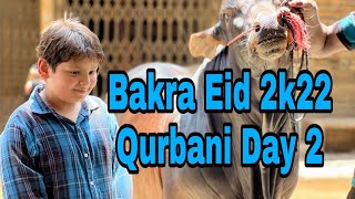 Bakra Eid Vlog 2k22 | Qurbani Eid Day 2 | Eid ul Adha Day 2