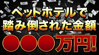 ペットホテルで踏み倒された料金ランキング！○○○万円…