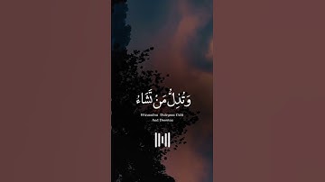 من أعذب التلاوات القاريء محمد الفقيه#ارح_قلبك #تلاوة_مميزة ##ارح_سمعك #لايك