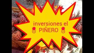 El Piñero De Barinas Venezuela 2016