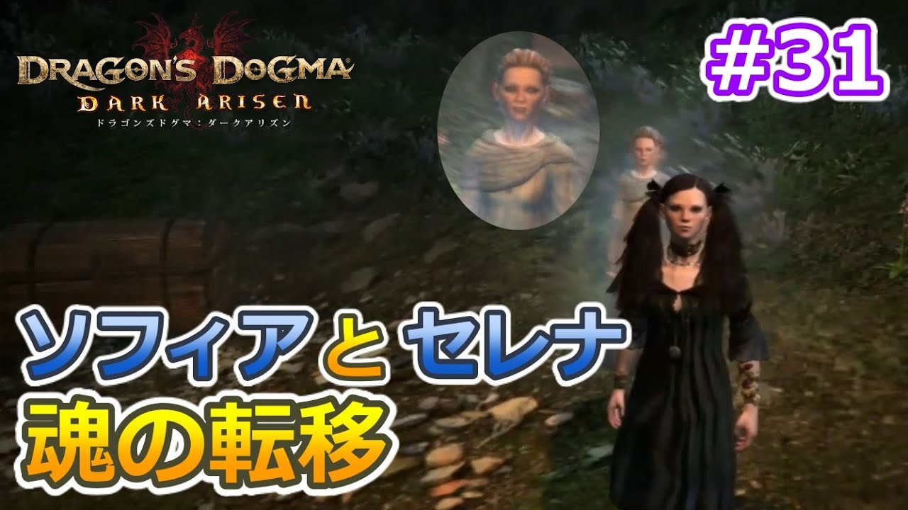 Ps3 ドラゴンズドグマ ダークアリズン 攻略 感想 ネタバレ 純魔型 ポーンの夢 31 字幕プレイ動画あり Otomemory Ps3 ドラゴンズドグマ ダークアリズン 攻略 感想 ネタバレ 純魔型 ポーンの夢 31 字幕プレイ動画あり Otomemory