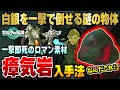 【ティアキン】白銀を一撃で倒せる謎の物体「瘴気岩」の入手法を紹介！！ これを使えばボコブリンもモリブリンも全部ワンパンで倒せます【ゼルダの伝説】【攻略】