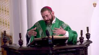 Bishop Daniel E.  Flores Twenty fourth Sunday in Ordinary Time Homily