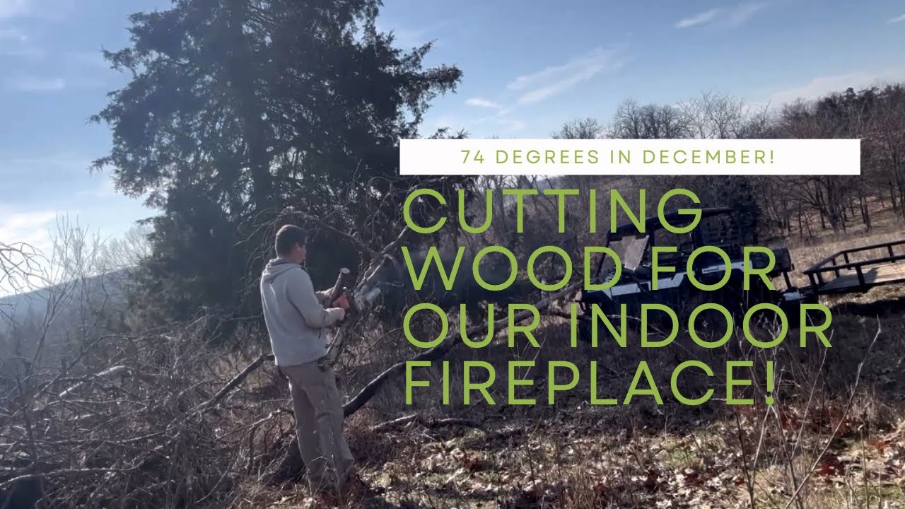 Cleaning up brush to use as firewood! 