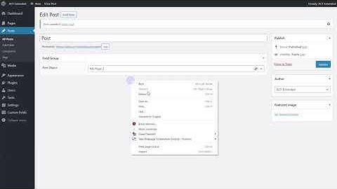 ACF Extended: Post Object Inline Post Edit/Create