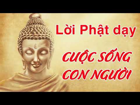 Video Cuộc đời tương đối mà - YouTube