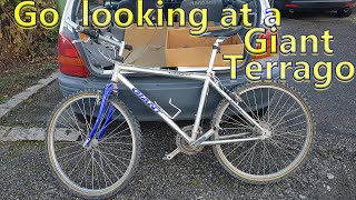 Go looking at a Giant Terrago - YouTube