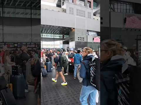 2025年5月10日（土）週末の京都駅の混雑状況は？週末京都站有多擁擠？How crowded is Kyoto Station on weekends?