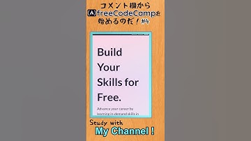 【study with me】freeCodeCampやろう!  - CSS  - #freecodecamp #study #プログラミング  #プログラミング入門