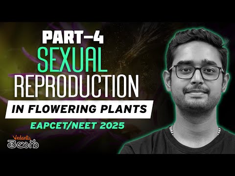 Sexual Reproduction in Flowering Plants | Part - 4 | EAPCET 2025 | NEET 2025 | Ajay Kumar Sir
