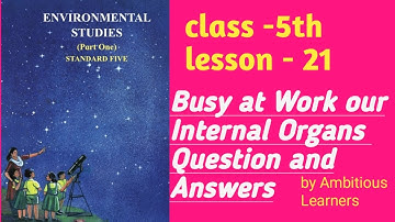 Chapter 21 | Busy at Work - Our Internal Organs | std 5th | EVS 1| Science | Question and Answers |