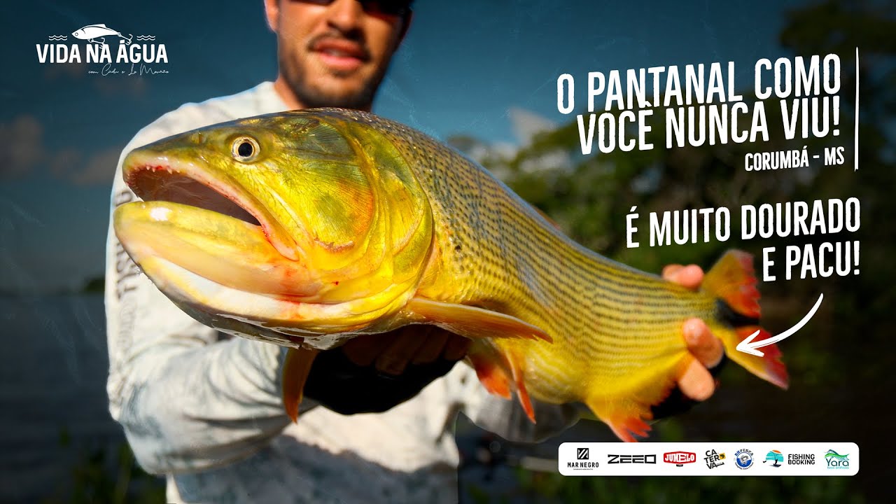VIDA NA ÁGUA - EP 05 PACU E DOURADO NO PANTANAL - CORUMBÁ-MS